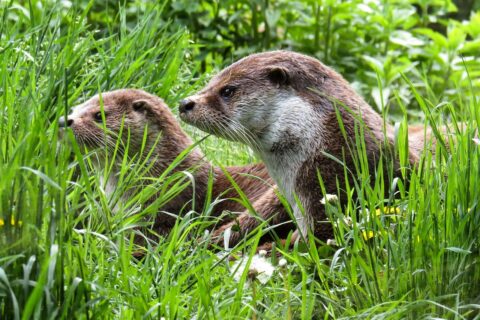 Kauno slidžių serviso specialistai atskleidžia: kodėl tinkamai paruoštos slidės lemia sėkmę ant sniego ir kaip išsirinkti geriausią meistą mieste Kauno slidžių serviso specialistai atskleidžia: kodėl tinkamai paruoštos slidės lemia sėkmę ant sniego ir kaip išsirinkti geriausią meistą mieste