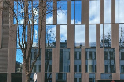 Kodėl tvoros Kaune kainuoja tiek, kiek kainuoja: gamybos ir montavimo proceso paslaptys Kodėl tvoros Kaune kainuoja tiek, kiek kainuoja: gamybos ir montavimo proceso paslaptys